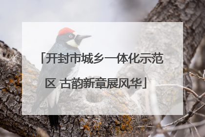开封市城乡一体化示范区 古韵新章展风华